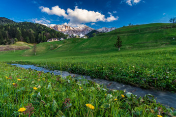 Картинка природа луга простор