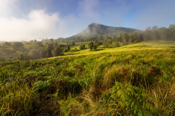 Картинка природа пейзажи простор