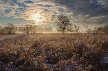 Картинка природа пейзажи простор