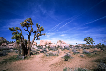 Картинка природа пустыни простор