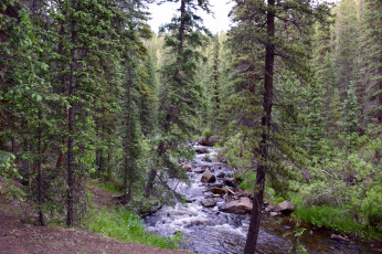 Картинка природа реки озера простор