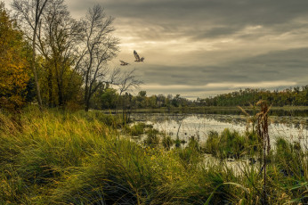 Картинка природа реки озера простор