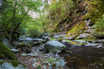 Картинка природа реки озера простор