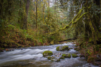 Картинка природа реки озера простор