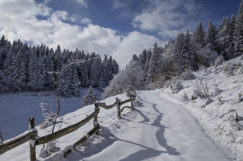 Картинка природа зима простор