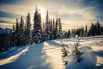 Картинка природа зима простор