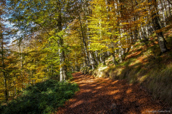 Картинка природа дороги простор