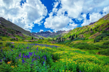 Картинка природа луга простор