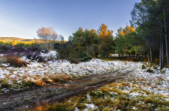 Картинка природа дороги простор