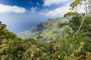 Картинка природа побережье простор