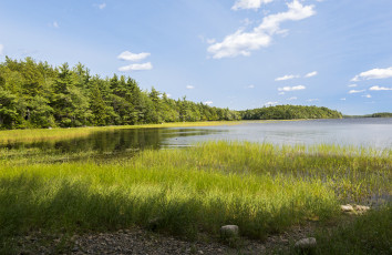 Картинка природа реки озера простор