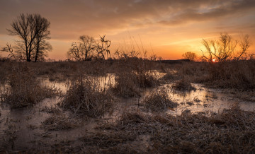 Картинка природа восходы закаты простор