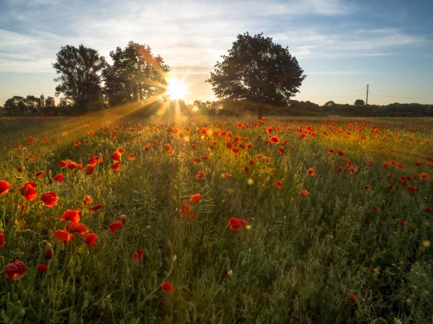 Обои картинки фото природа, восходы, закаты, простор