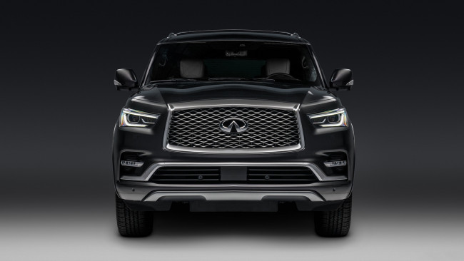 Обои картинки фото infiniti qx80 limited 2019, автомобили, infiniti, limited, qx80, 2019