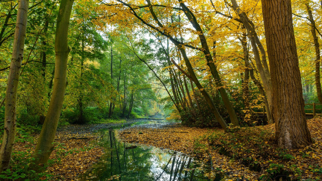 Обои картинки фото природа, реки, озера, простор