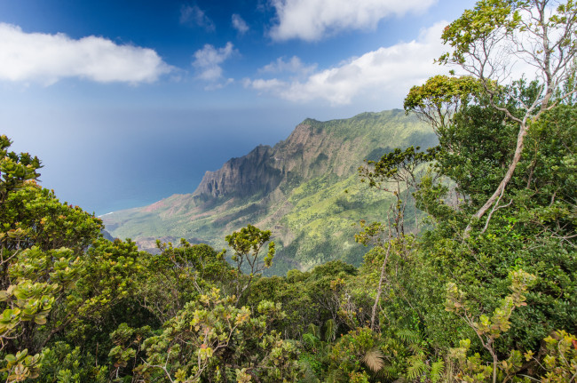 Обои картинки фото природа, побережье, простор