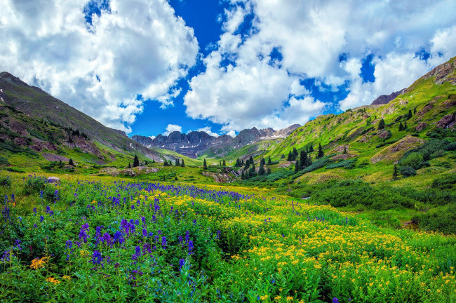 Обои картинки фото природа, луга, простор