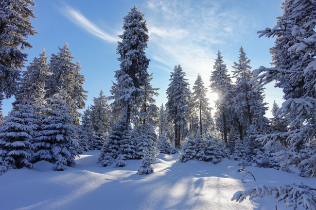 Обои картинки фото природа, зима, простор