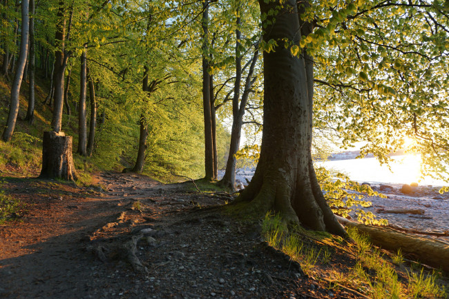 Обои картинки фото природа, дороги, простор