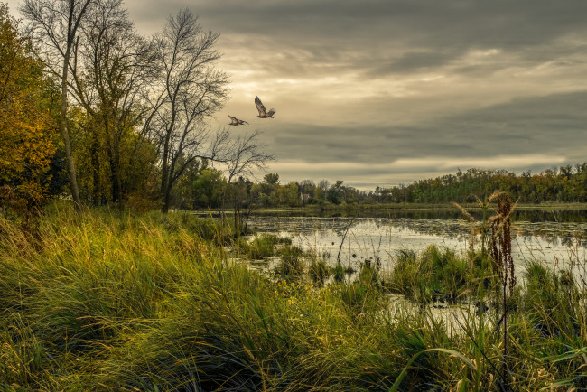 Обои картинки фото природа, реки, озера, простор