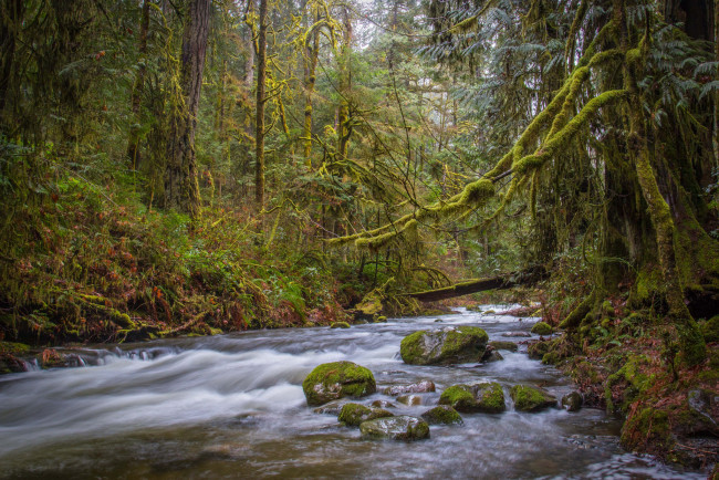 Обои картинки фото природа, реки, озера, простор