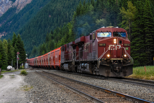 Обои картинки фото техника, поезда, локомотив, состав