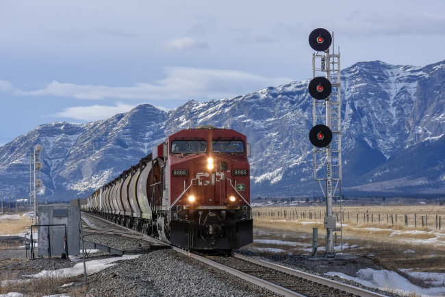 Обои картинки фото техника, поезда, состав, локомотив