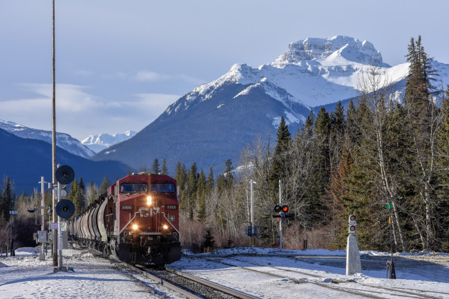 Обои картинки фото техника, поезда, состав, локомотив