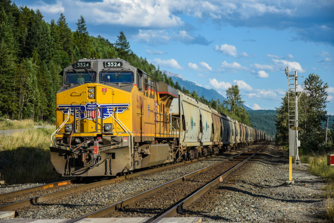 Обои картинки фото техника, поезда, состав, локомотив