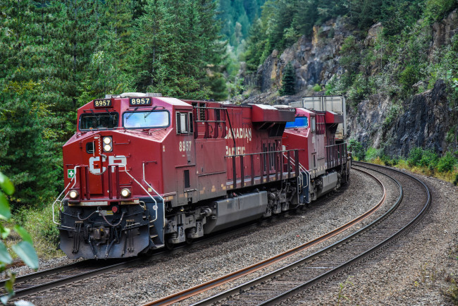 Обои картинки фото техника, поезда, состав, локомотив