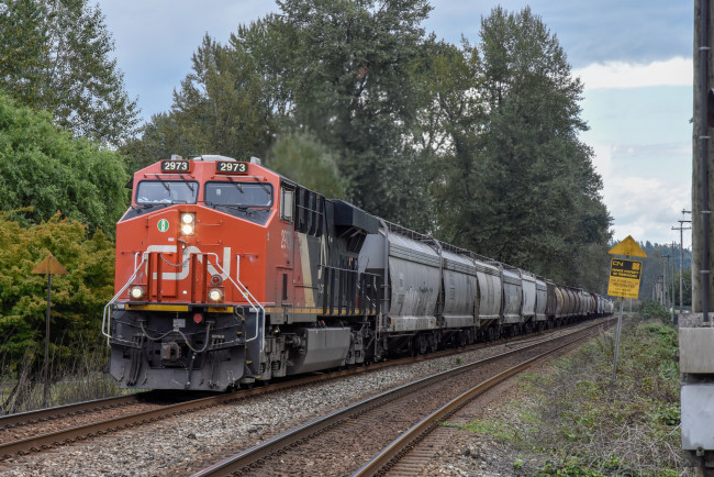 Обои картинки фото техника, поезда, состав, локомотив