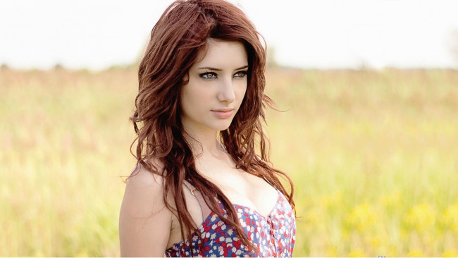 Обои картинки фото девушки, susan coffey, декольте