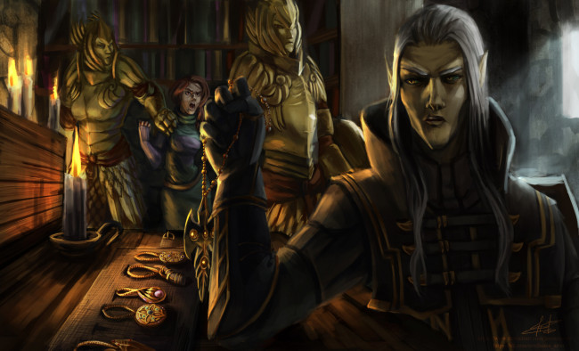 Обои картинки фото видео игры, the elder scrolls v,  skyrim, эльф, стража, амулеты, девушка, книги
