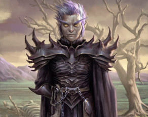 Картинка видео+игры pathfinder +wrath+of+the+righteous рыцарь дерево кости