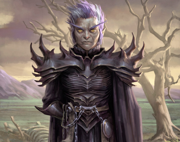 Обои картинки фото видео игры, pathfinder,  wrath of the righteous, рыцарь, дерево, кости