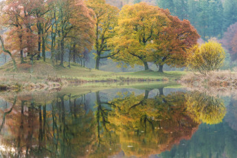 Картинка природа реки озера осень