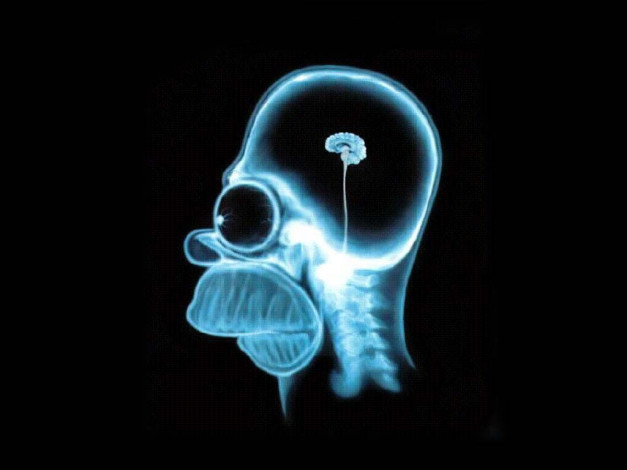 Обои картинки фото мультфильмы, the, simpsons