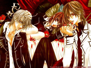 Картинка аниме vampire knight