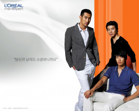 обоя бренды, l`oreal