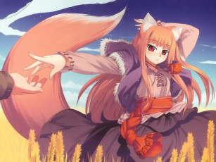 Картинка аниме spice and wolf