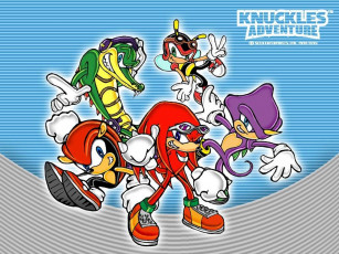 Картинка видео игры sonic adventure