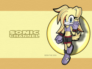 Картинка видео игры sonic channel