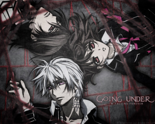 Обои картинки фото аниме, vampire, knight