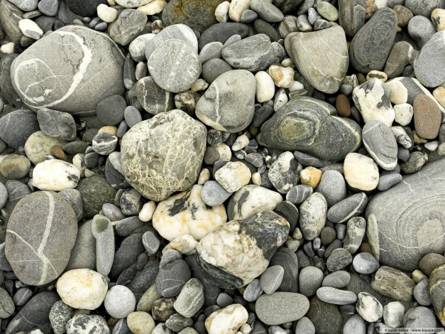 Обои картинки фото 