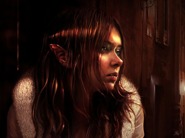 Обои картинки фото фэнтези, эльфы