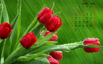 Картинка календари цветы