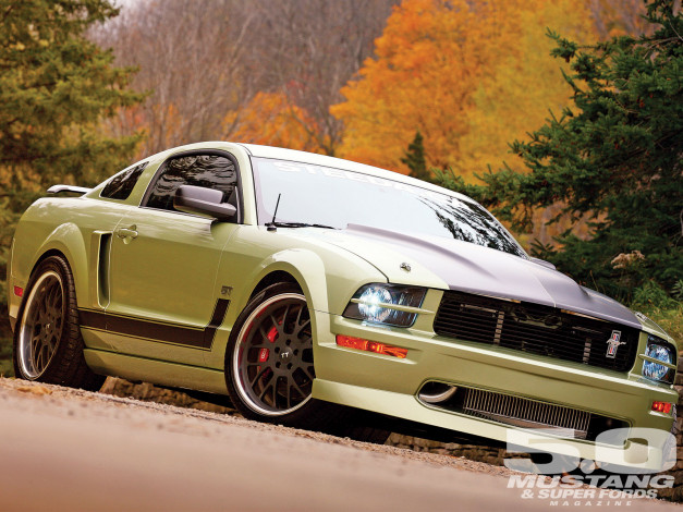 Обои картинки фото автомобили, mustang