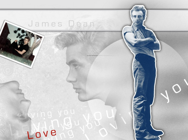 Обои картинки фото james, dean, мужчины