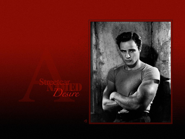 Обои картинки фото мужчины, marlon, brando