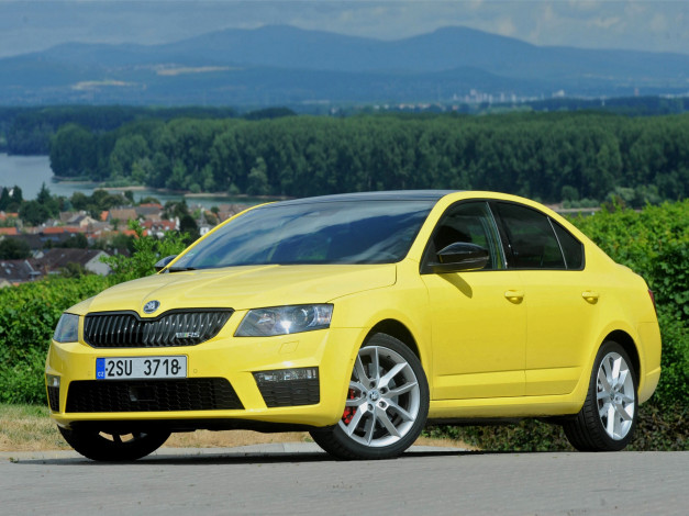 Обои картинки фото автомобили, skoda, rs